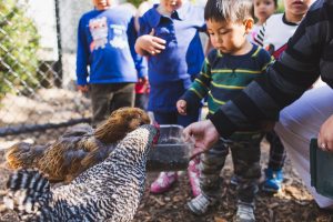 20160915 Arbor School 0341 Web