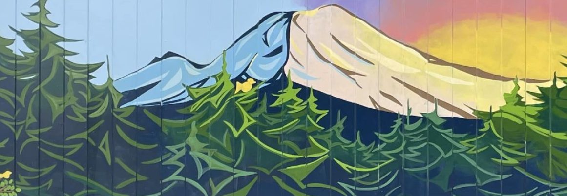 387159736_806563788137750_6521422992970695340_n